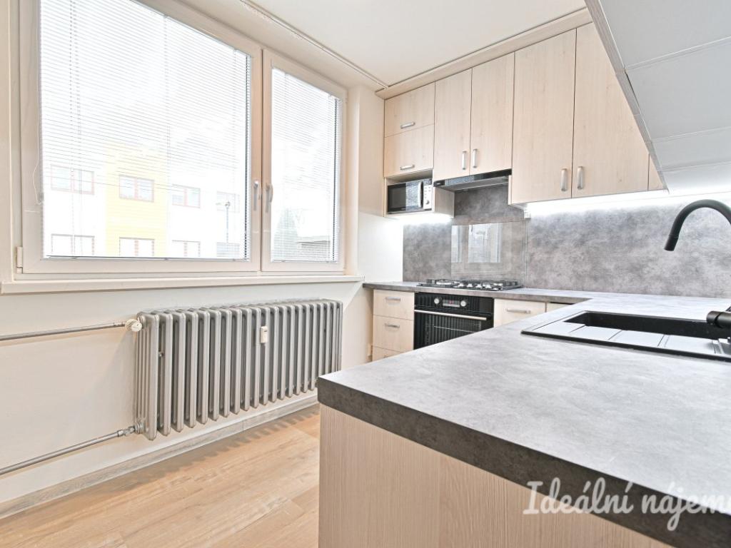 Pronájem bytu 1+1 41 m2