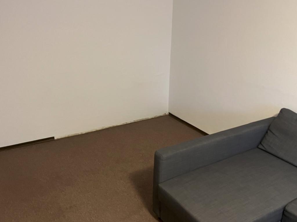 Pronájem bytu 1+1 42 m2, Brno – náhled fotky 6