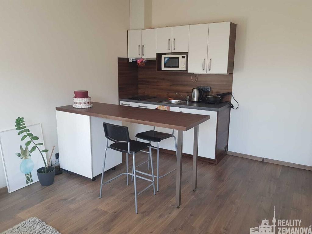 Pronájem bytu 1+kk 30 m2