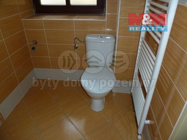 Pronajem bytu 1+kk 43 m2
