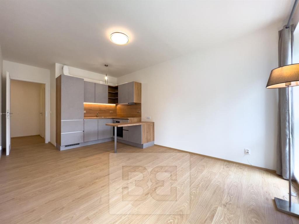 Pronájem bytu 2+kk 48 m2