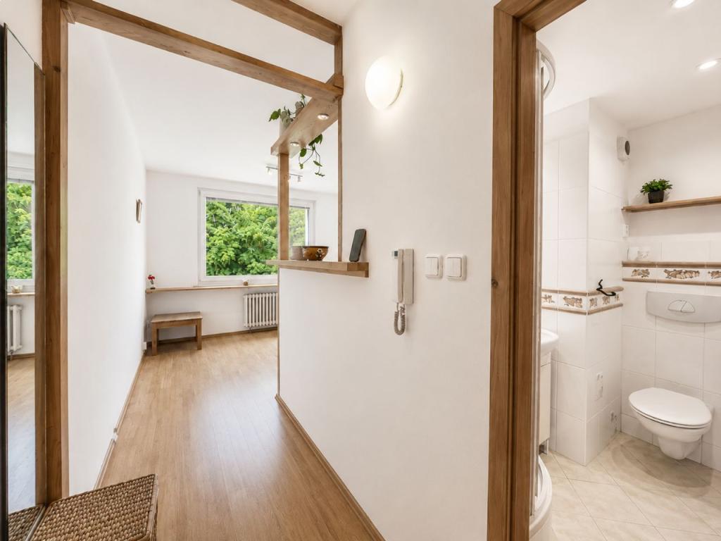 Pronájem bytu 2+kk 36 m² - Widok 5