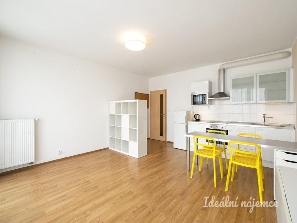 Pronájem bytu 1+kk 43 m2
