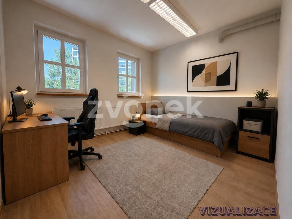 Pronájem bytu pokoj 10 m2