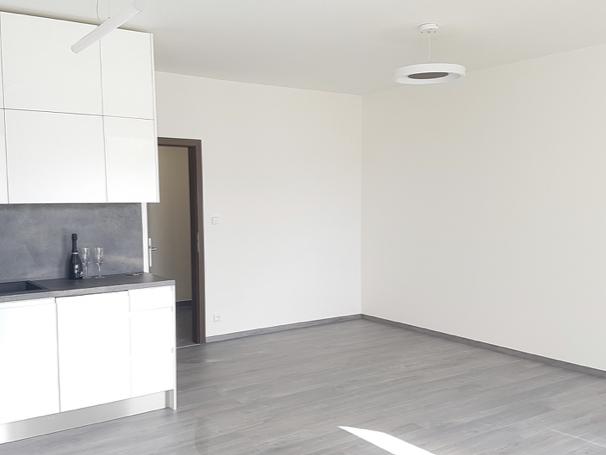 Pronajem bytu 1+kk 39 m2