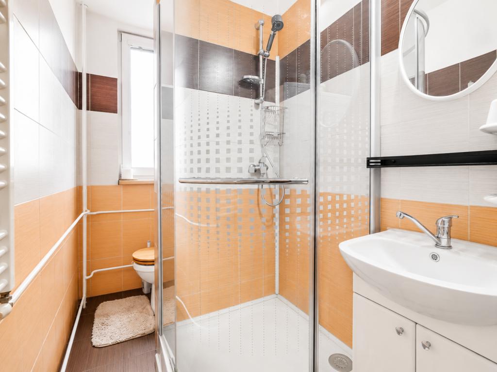 Pronájem bytu 2+1 43 m² - Widok 3