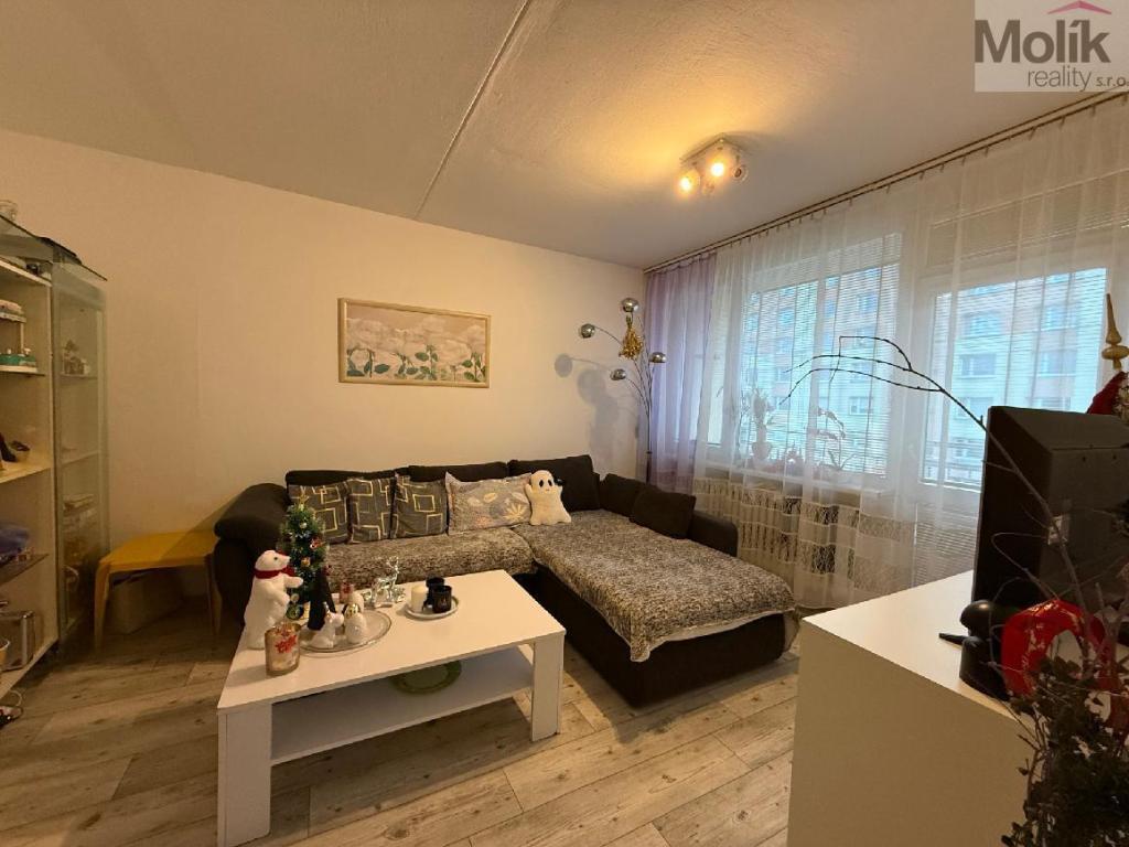 Pronájem bytu 2+1 55 m2