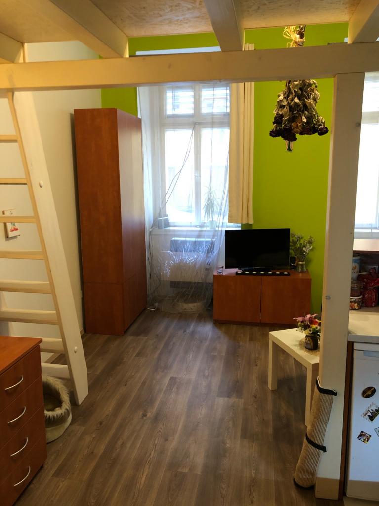 Pronajem bytu 1+kk 28 m2