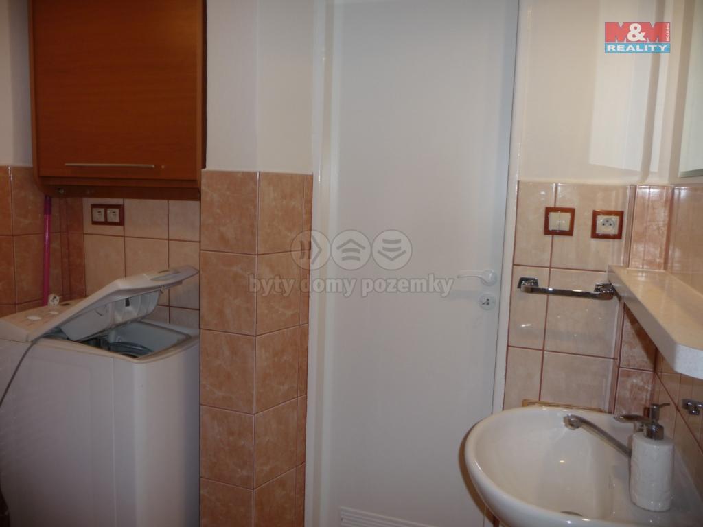 Pronajem bytu 2+1 48 m2