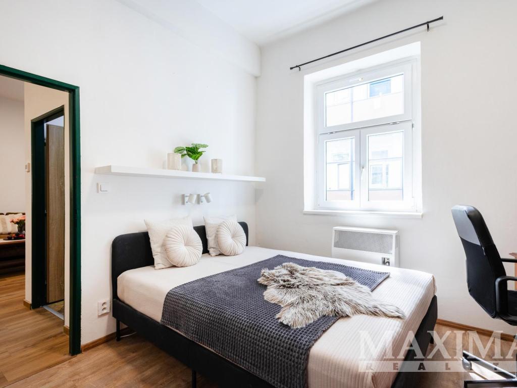 Pronájem bytu 2+kk 53 m2