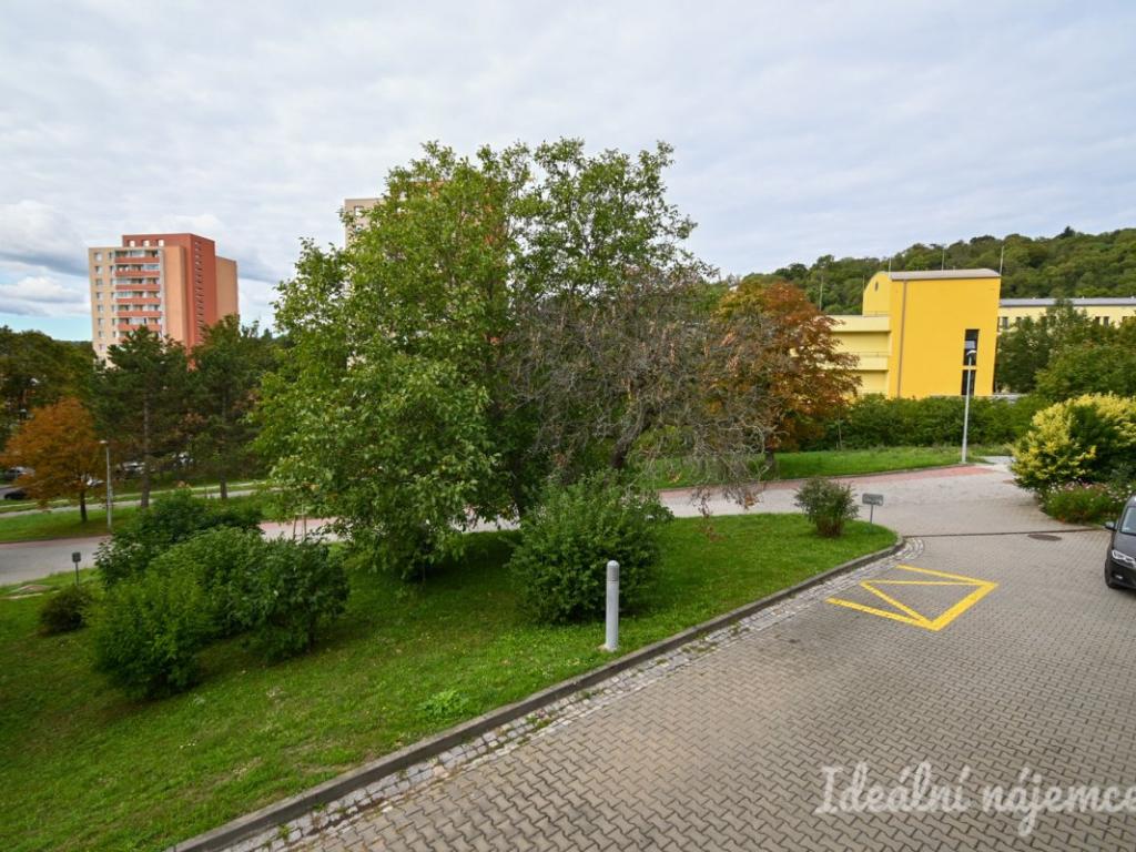 Pronájem bytu 3+kk 88 m2, Brno – náhled fotky 17