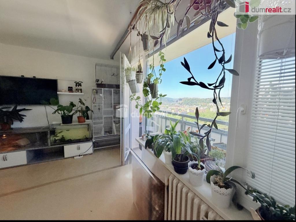 Pronájem bytu 3+1 73 m2