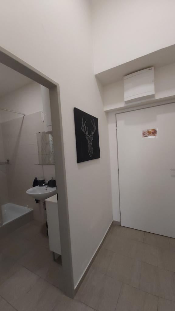 Pronajem bytu 1+kk 45 m2