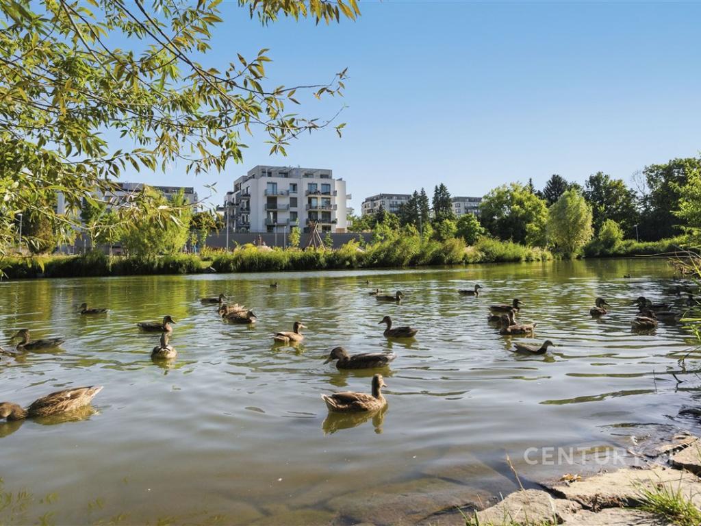 Pronájem bytu 2+kk 59 m2, Praha – náhled fotky 19