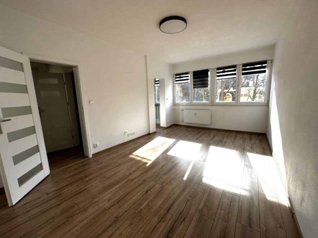 Pronájem bytu 2+1 50 m2