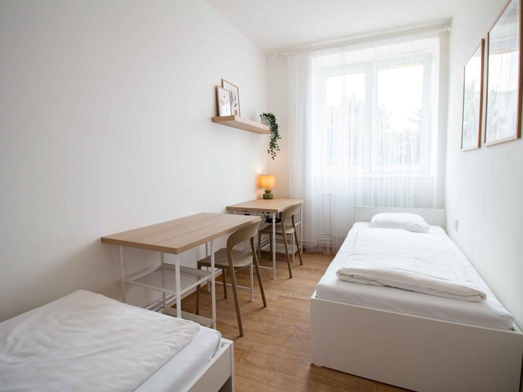Spolubydlení atypický 55 m2