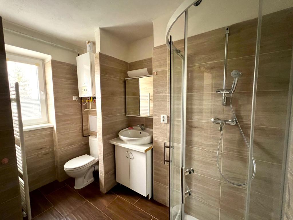 Pronájem bytu 2+1 50 m2