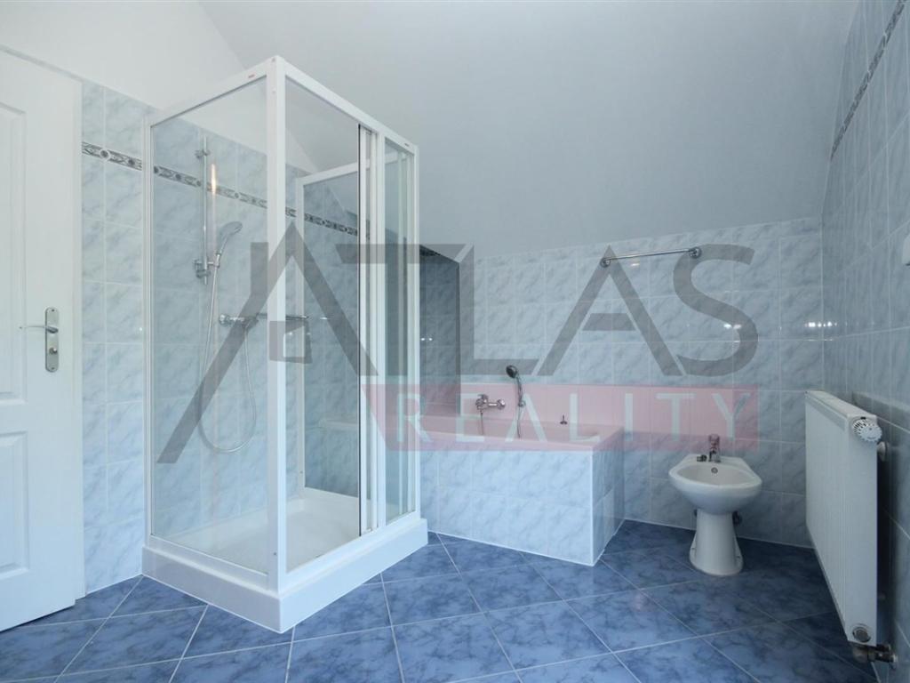 Pronájem domu 200 m² – další