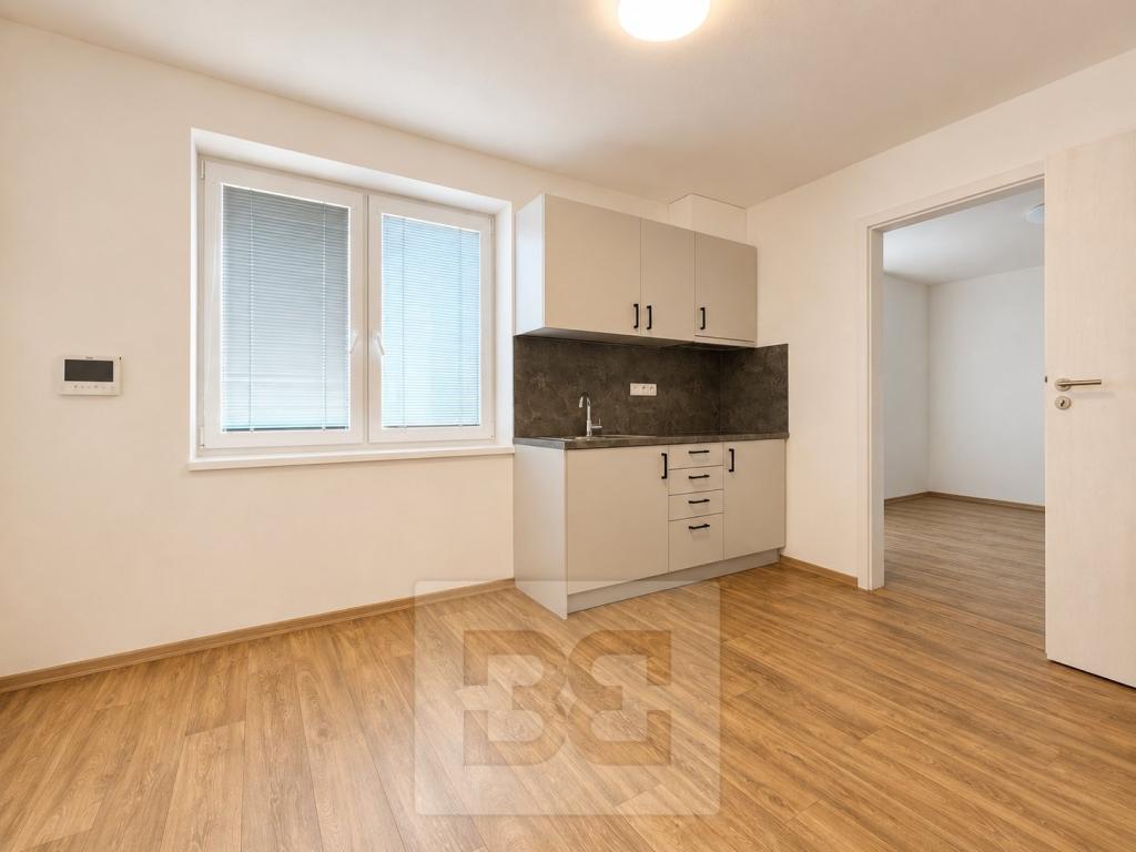 Pronájem bytu 2+1 50 m2