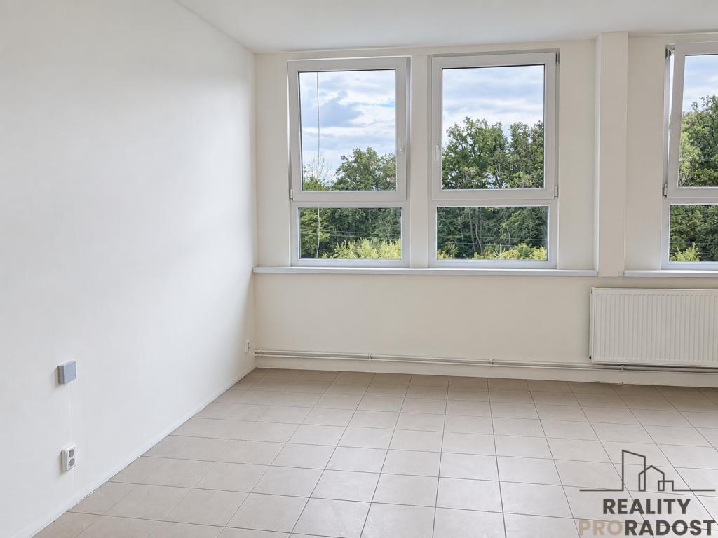 Pronájem bytu 1+1 47 m2