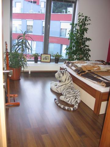Pronajem bytu 3+kk 87 m2