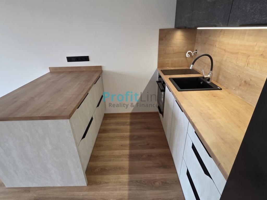Pronájem bytu 1+kk 50 m2