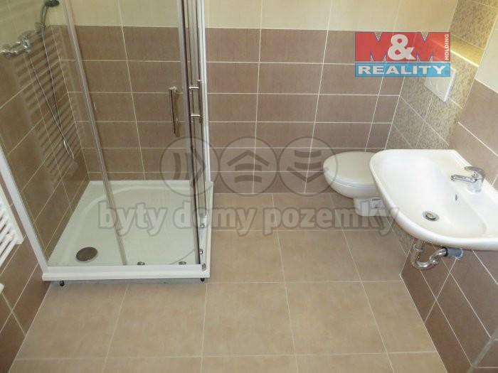 Pronajem bytu 2+1 60 m2
