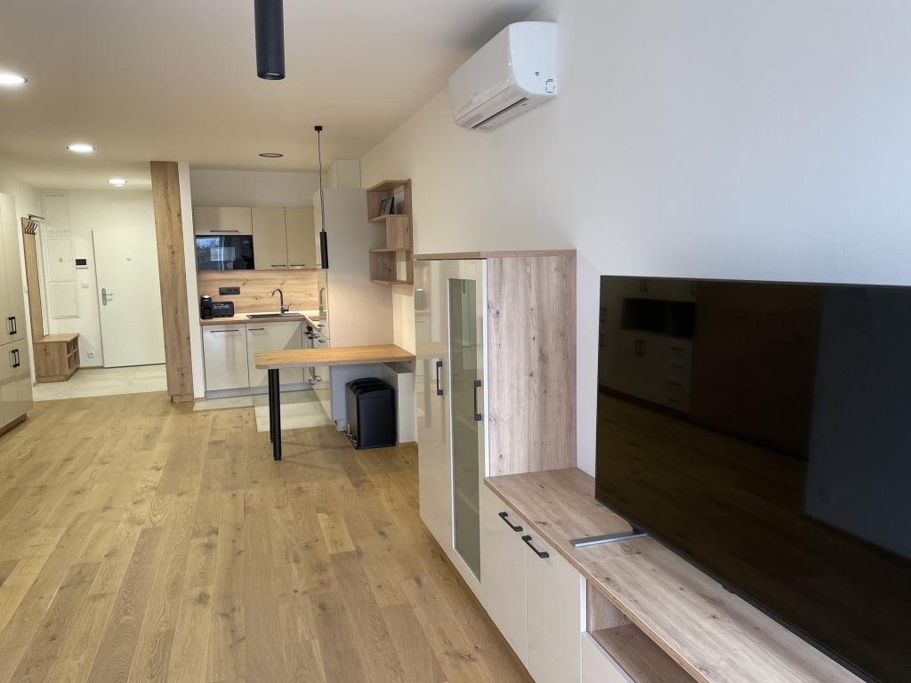 Pronájem bytu 1+kk 43 m2