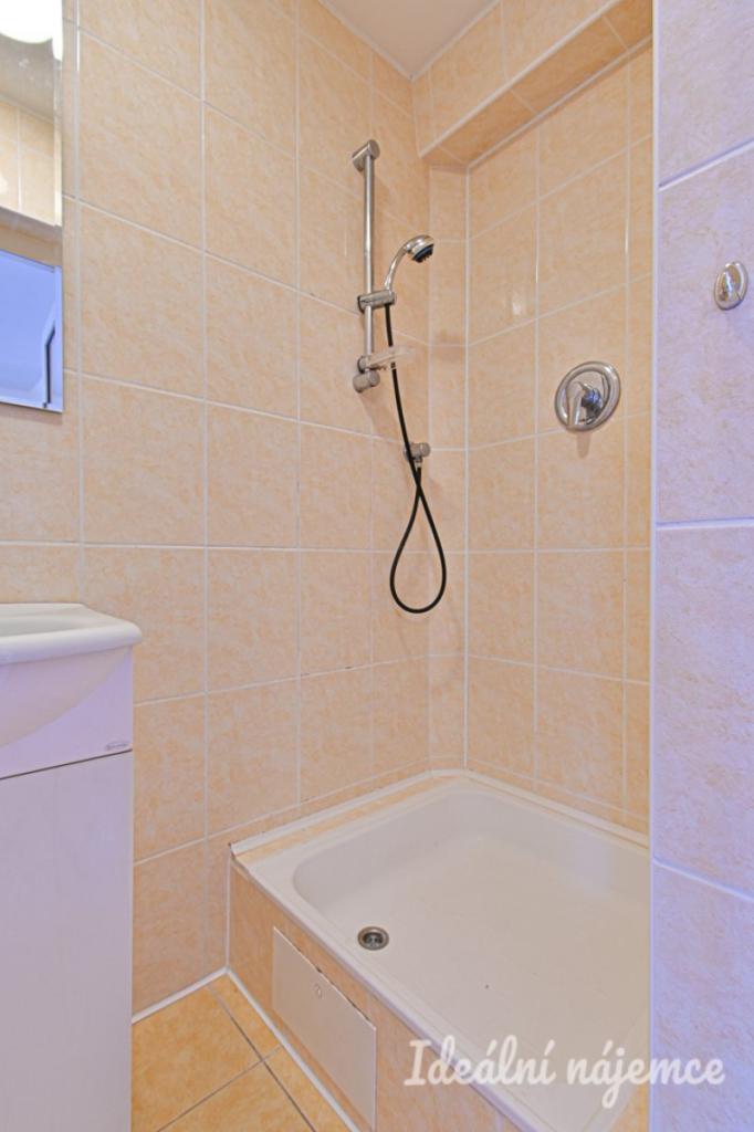 Pronájem bytu 1+1 30 m2