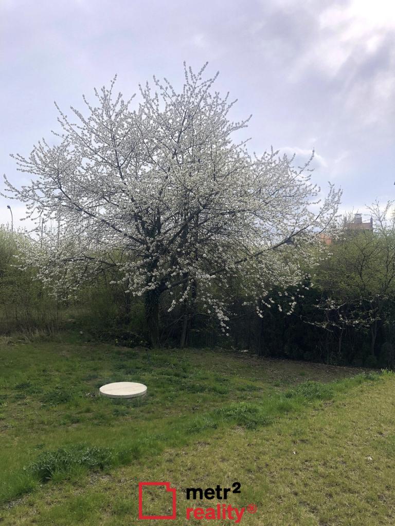 Pronájem bytu 2+kk 65 m2, Olomouc – náhled fotky 24