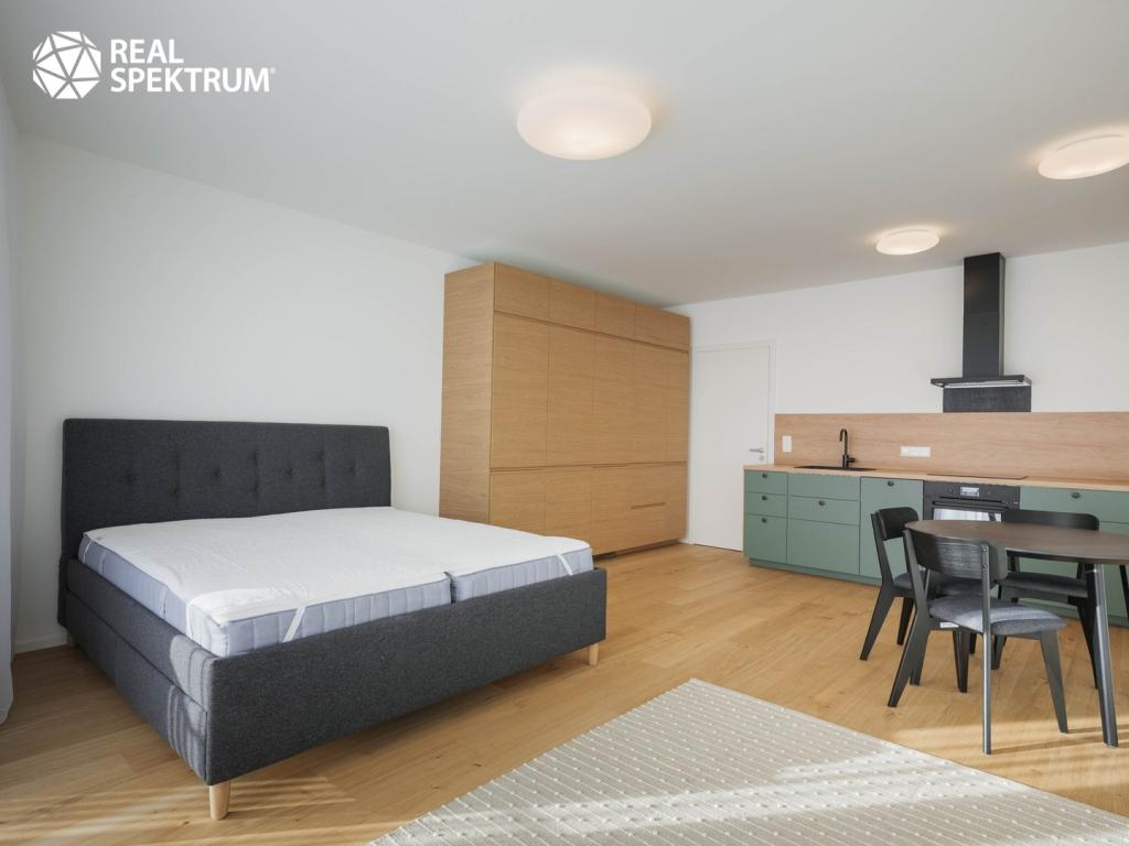 Pronájem bytu 1+kk 41 m2