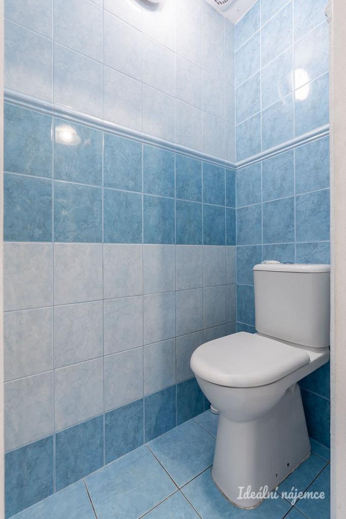 Pronájem domu 100 m2, Brandýsek – náhled fotky 10