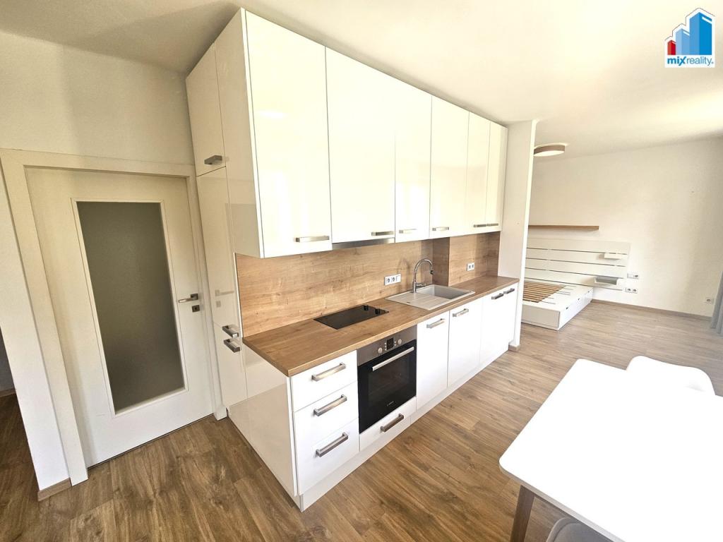 Pronájem bytu 1+kk 54 m2