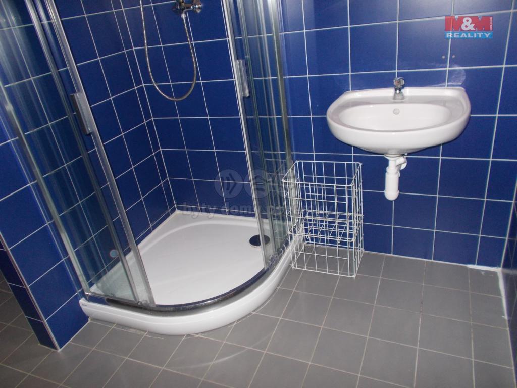 Pronajem bytu 1+kk 30 m2