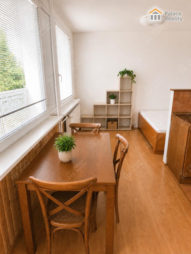 Pronájem bytu 1+kk 41 m2