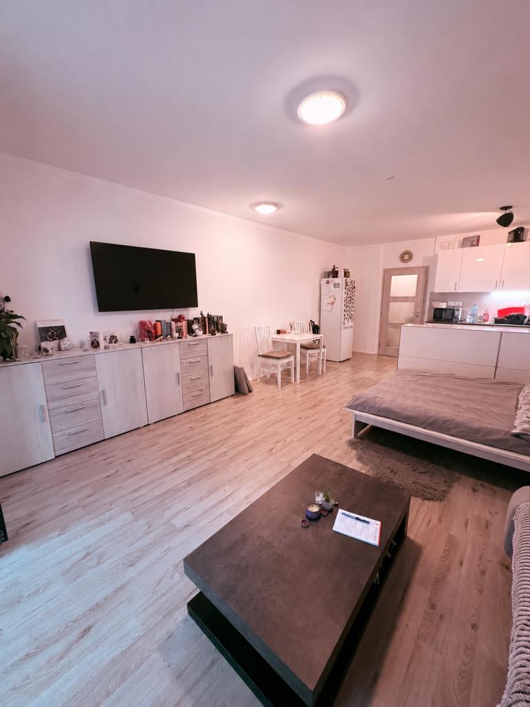 Pronájem bytu 1+kk 46 m2