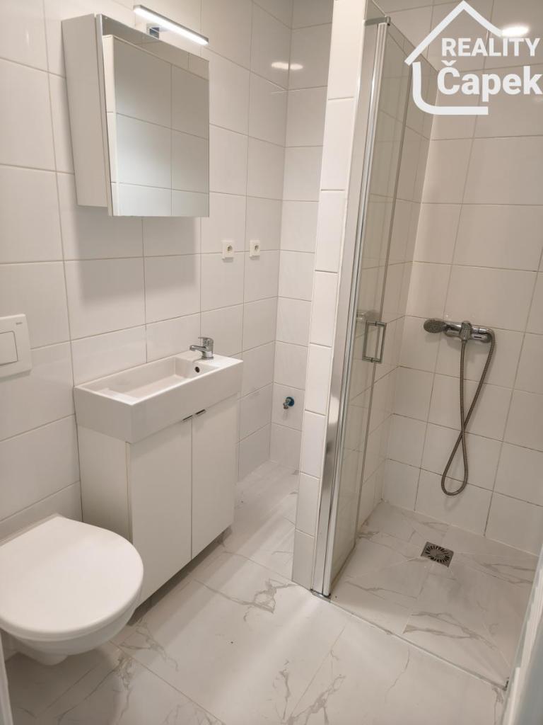 Pronájem bytu 1+1 31 m2