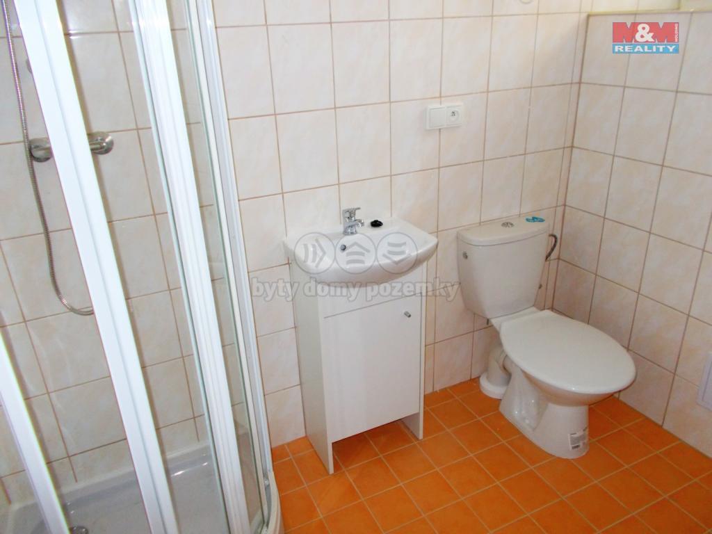 Pronajem bytu 1+1 38 m2