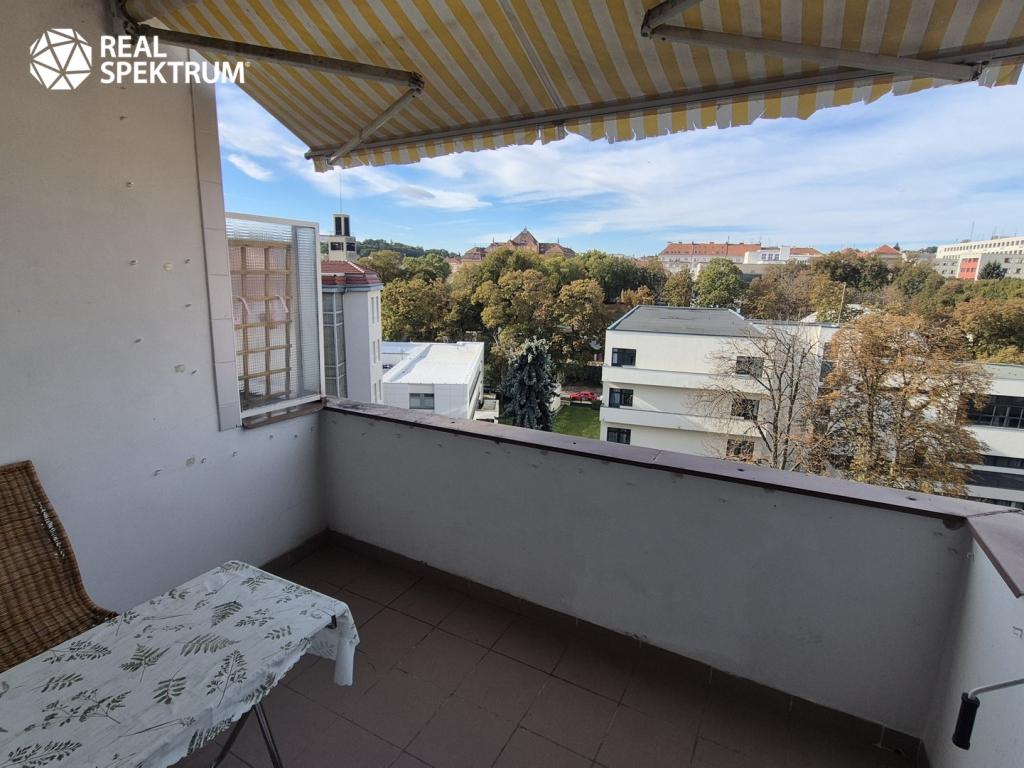 1+kk Apartment in Brno - More