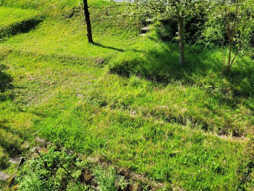 Pronájem bytu 2+1 65 m2