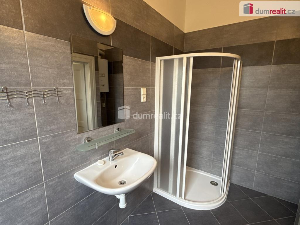 Pronájem bytu 2+1 58 m2, Plzeň – náhled fotky 6