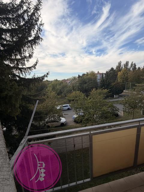 Pronájem bytu 2+1 53 m2, Olomouc – náhled fotky 5