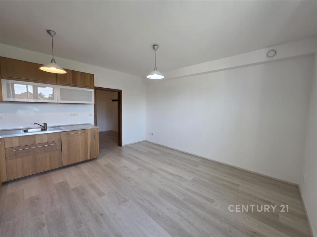 Pronájem bytu 2+kk 59 m2