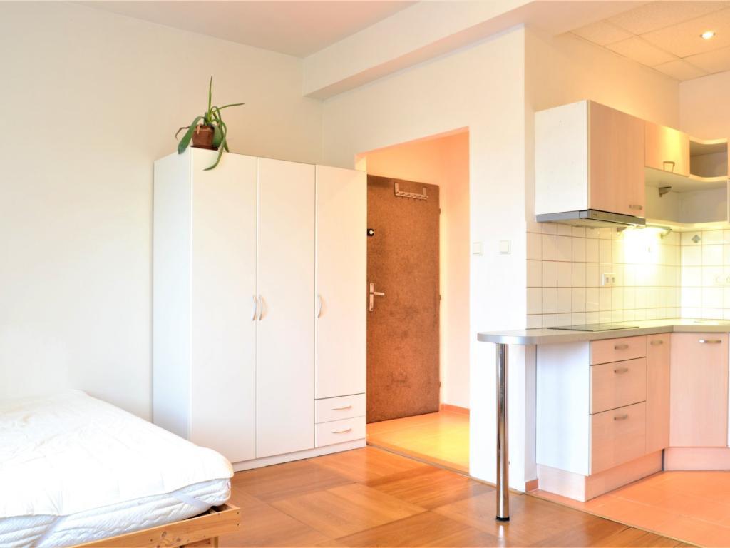 Pronájem bytu 1+kk 25 m2