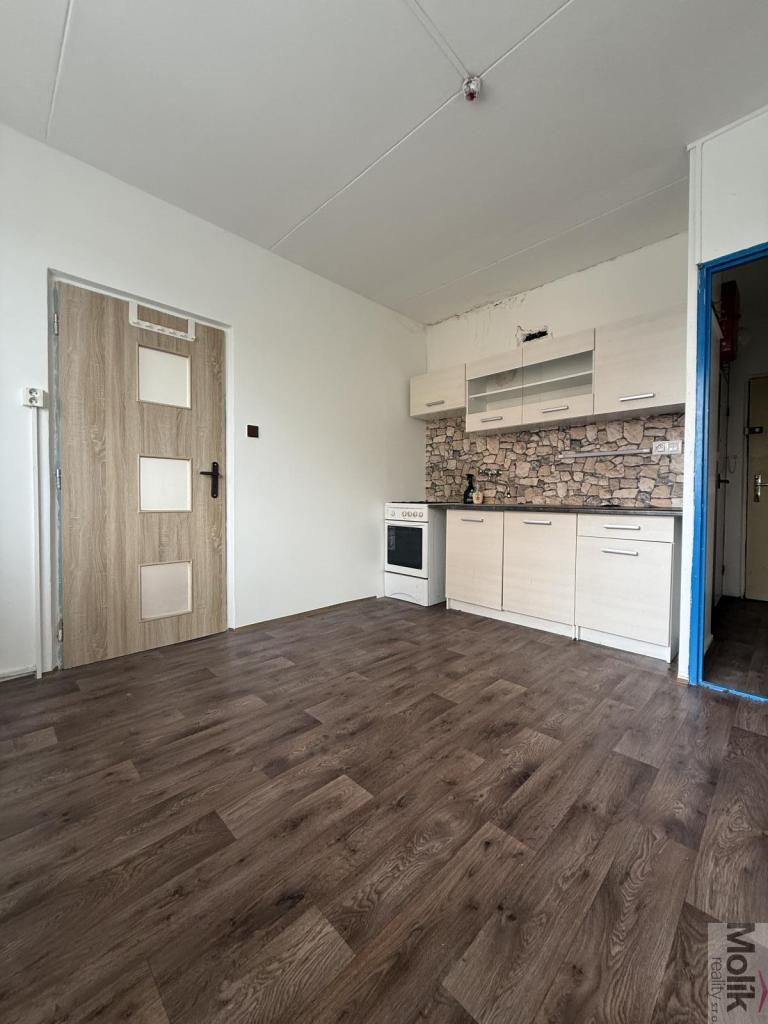 Pronájem bytu 1+1 38 m2