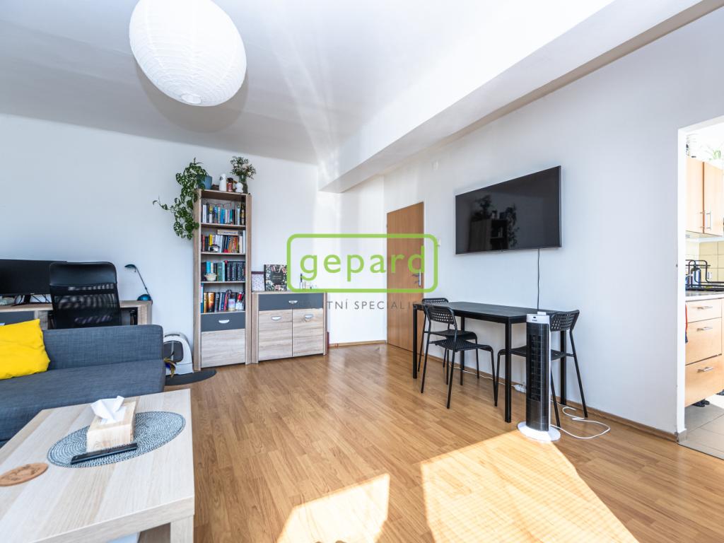 Prodej bytu 2+1 54 m² - Widok 6