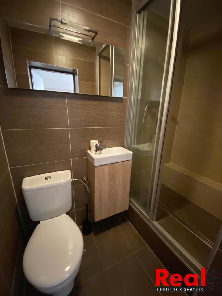 Pronájem bytu 1+kk 30 m2