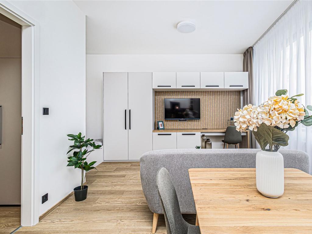 Pronájem bytu 1+kk 31 m2