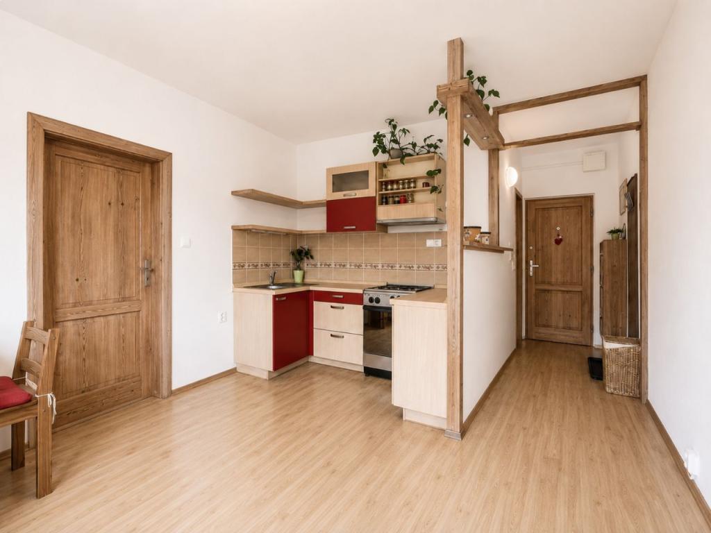 Pronájem bytu 2+kk 36 m² - Widok 2