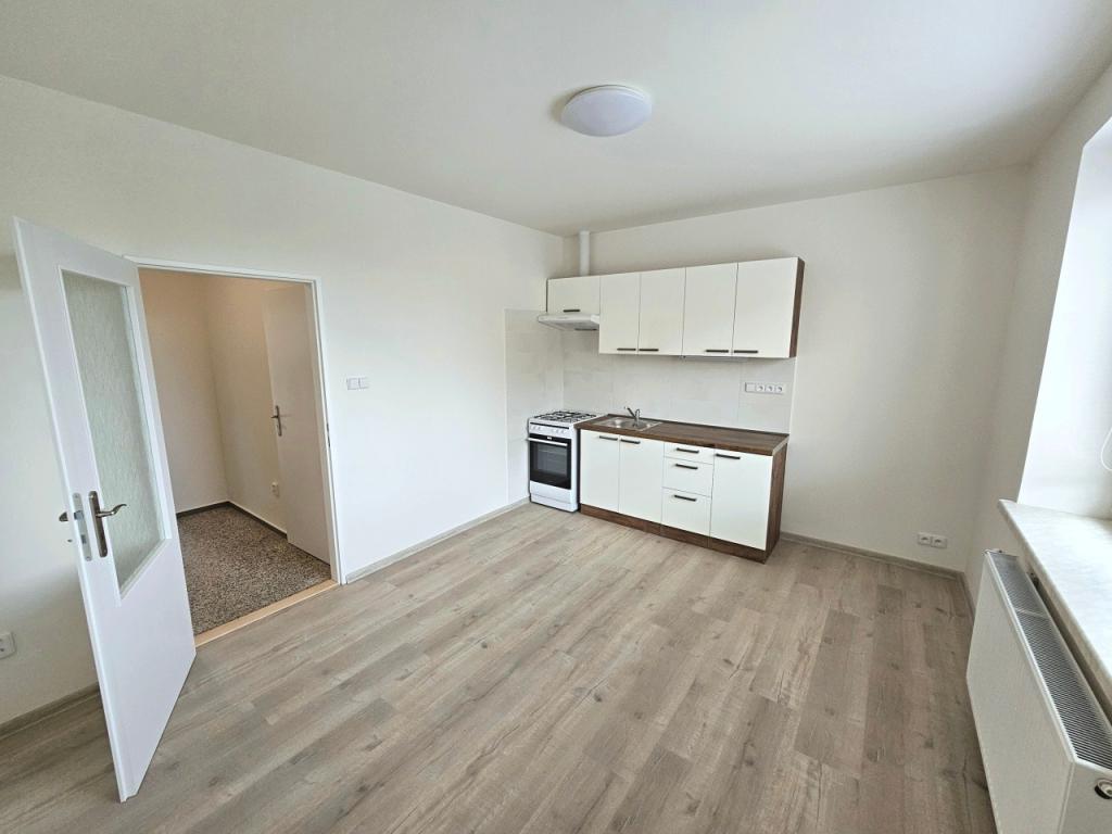 Pronájem bytu 1+1 45 m2